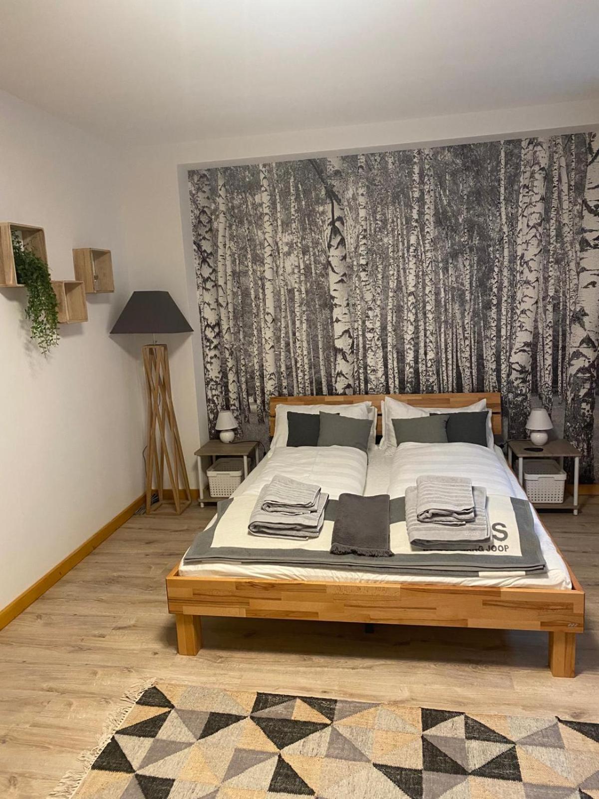 Forest Apartment-Forest Escape Menzenschwand St. Blasien Buitenkant foto
